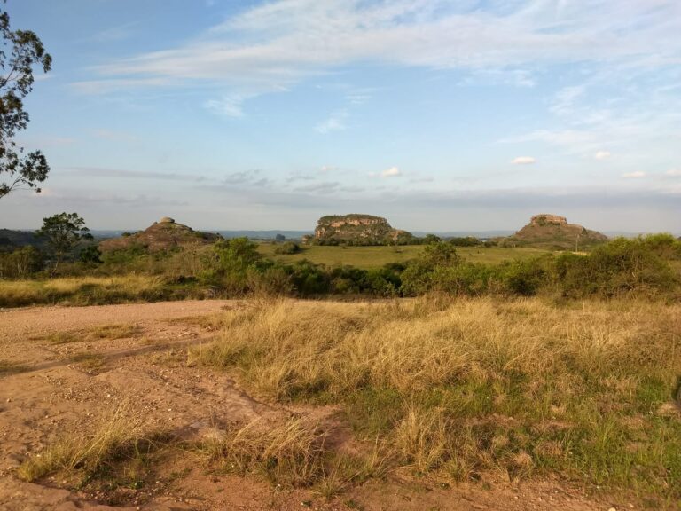 33b293816e9f4020b7126e15970e1921 Bruno Dorneles 768x576