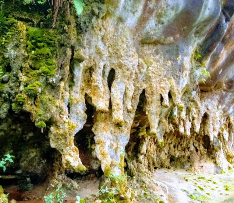 69fe20b923df4aa88642af158570da14 Bruno Dorneles 768x667