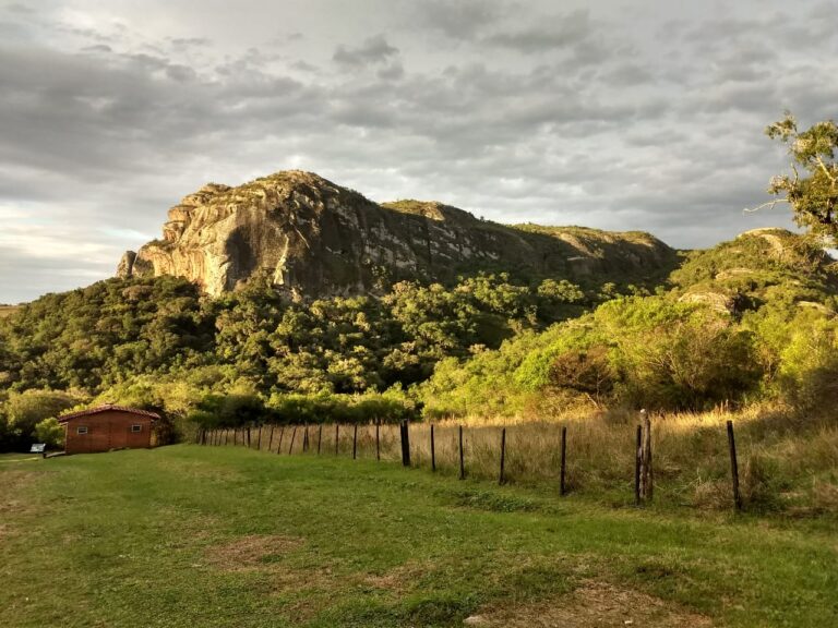 72f0446767414791b3240518c8eecf50 Bruno Dorneles 768x576