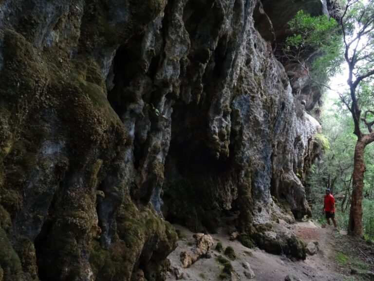 80a91241998c40dfa3615b60e8e7cea7 Bruno Dorneles 768x576