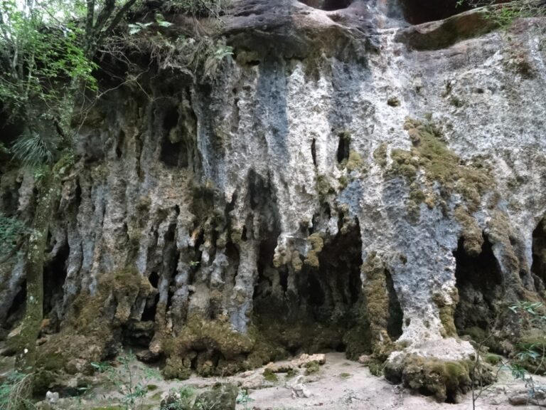 8b26347874964d91b9e028eb601ed4b7 Bruno Dorneles 768x576