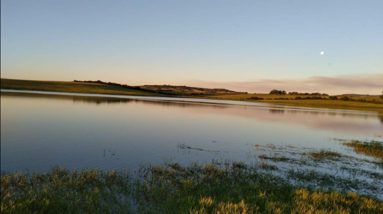 Captura de tela 2023 12 26 113209 768x429