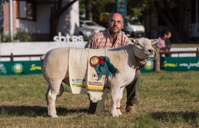 Captura de tela 2023 12 26 130245 768x496