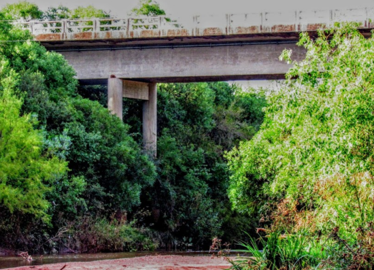 Captura de tela 2023 12 26 131332 768x556