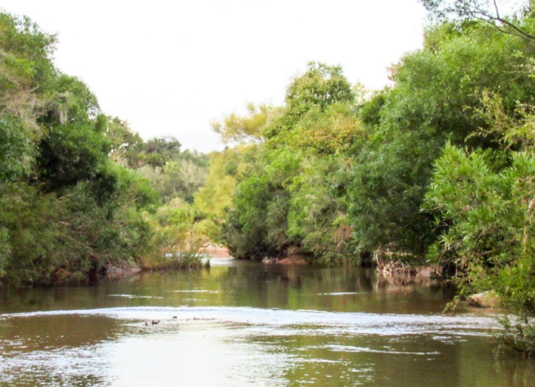 Captura de tela 2023 12 26 131347 768x556