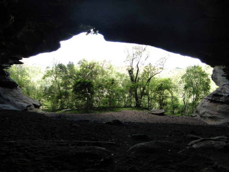 a1eb42f198c14af6b2a05c28b29f76b3 Bruno Dorneles 1 768x576