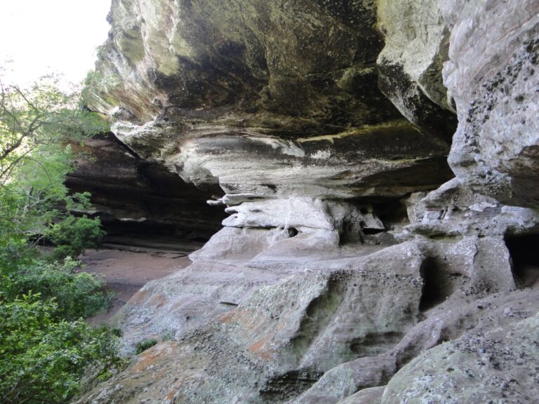 c27f0ad0400641fcab94d928ea86076d Bruno Dorneles 1 768x576