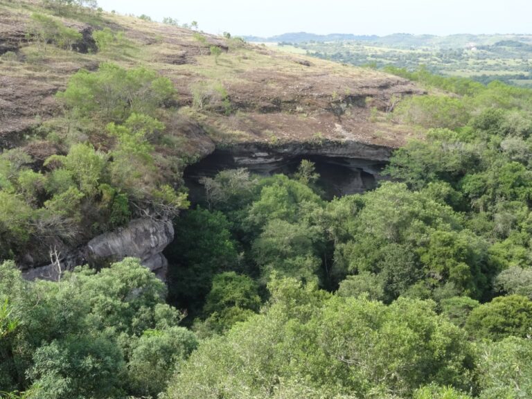 ce05964d75664b489228f58f38bdf71a Bruno Dorneles 1 768x576