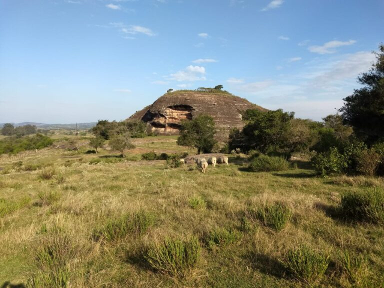 fe68c9ff74894f29b8a2da5a9952b901 Bruno Dorneles 768x576