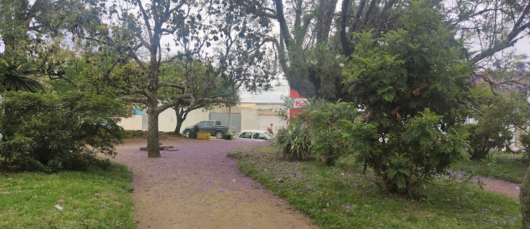 imagem 2023 12 21 131210447 768x332