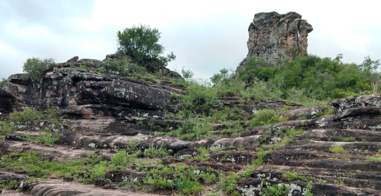 imagem 2023 12 21 132231418 768x396