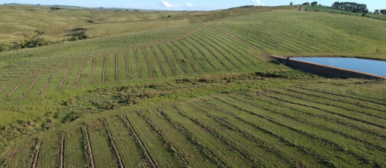 imagem 2023 12 21 150141366 768x336