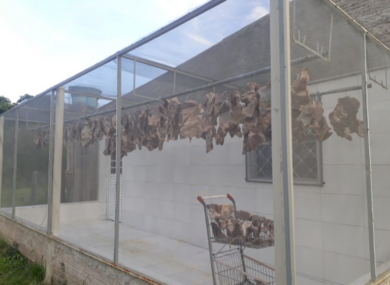 imagem 2023 12 26 132417215 768x563